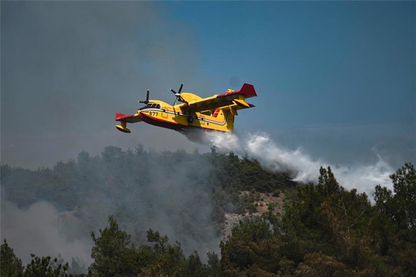 Teil 8: August – Sportliche Höchstleistungen, Trumps Polizeibild und die Evakuierung des „Jamboree“ 