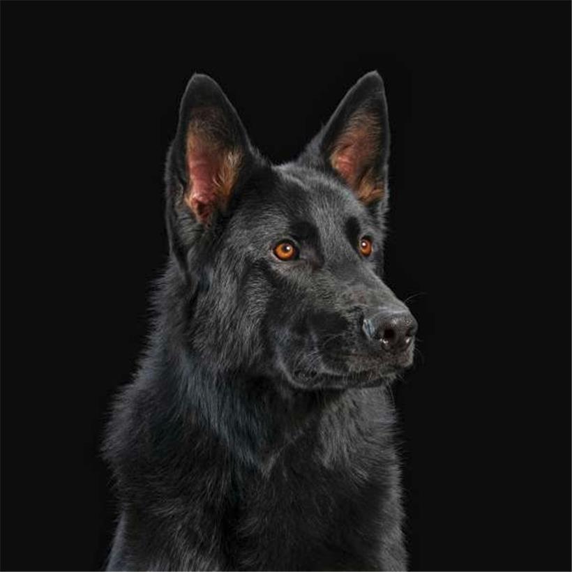 Leider geil – so toll klingt der Soundtrack zum Weltuntergang 