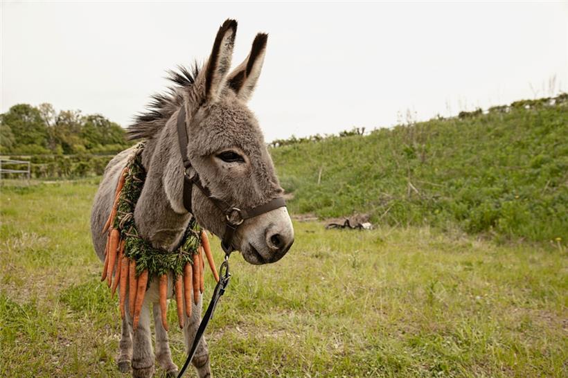 Une année d’insoumission en dix chapitres: nos films de l’année 
