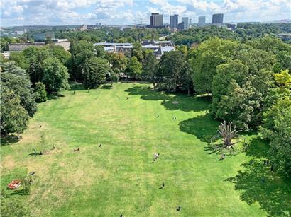 Le tram qui traverse le Parc municipal