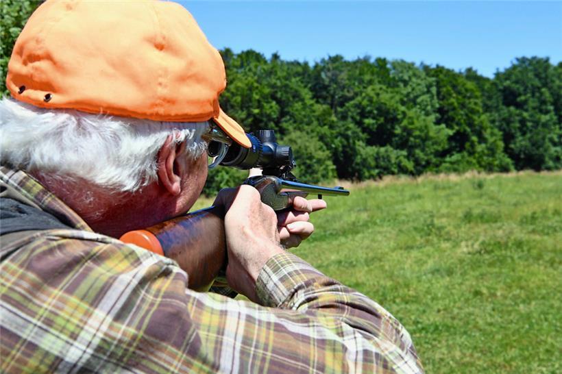 Das furchtbare Massaker in Wald und Flur: Wer das Tier nicht ehrt, ist des Menschseins nicht wert 