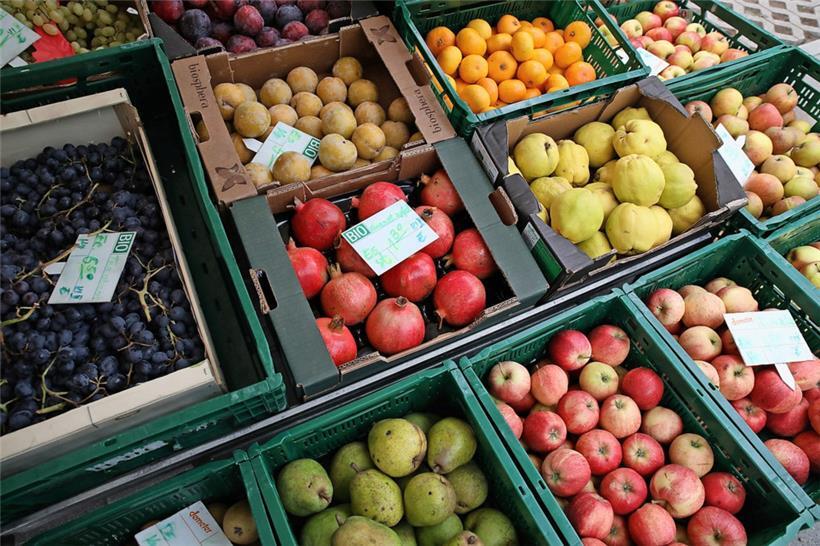 Mehr lokal, mehr Bio und weniger Verschwendung: Gemeinden als „starker Verbündeter“ für nachhaltige Ernährung 