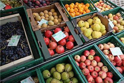 Mehr lokal, mehr Bio und weniger Verschwendung: Gemeinden als „starker Verbündeter“ für nachhaltige Ernährung