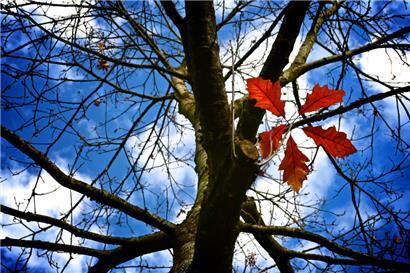 Warmer Herbst in Luxemburg: Meteolux verzeichnet Rekord-Oktober 