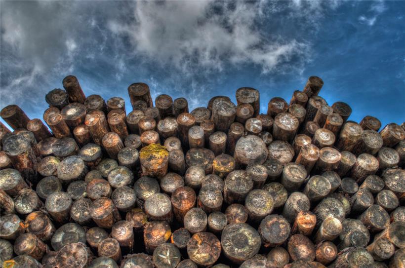 „E-Holzhaff“ ist die neue digitale Plattform für die Holz-Wirtschaft der Großregion 