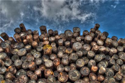 „E-Holzhaff“ ist die neue digitale Plattform für die Holz-Wirtschaft der Großregion