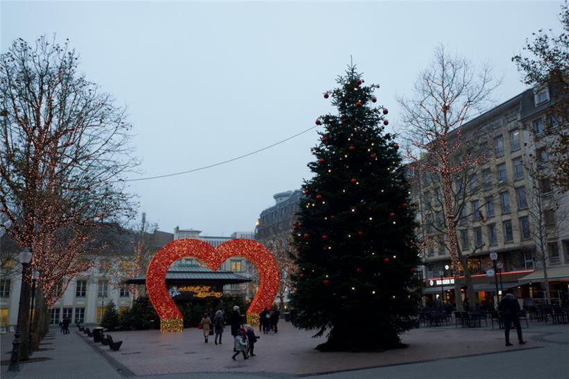 Luxemburg-Stadt sucht nach großen Weihnachtsbäumen – und kommt sie selbst fällen 