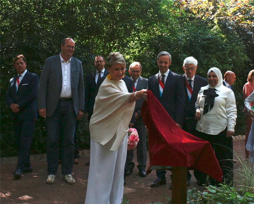 Eine Rose als Zeichen der Resilienz im Kampf gegen sexuelle Gewalt als Kriegswaffe 