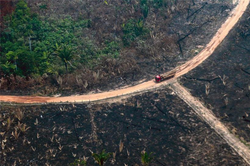 Gesunde Ökosysteme, gesunde Menschen – Die Wechselwirkung zwischen Mensch und Natur 