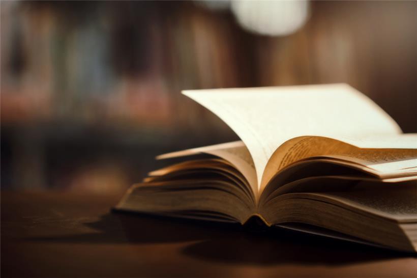 Posse zum Literaturbetrieb 