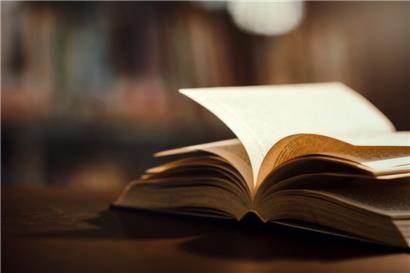 Posse zum Literaturbetrieb
