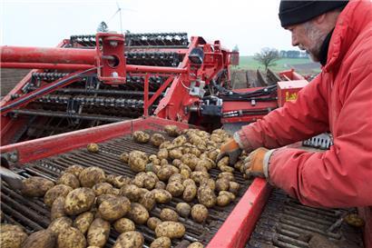 Tripartite-Geldsegen für Luxemburgs Landwirte? Entscheidung fällt im Herbst