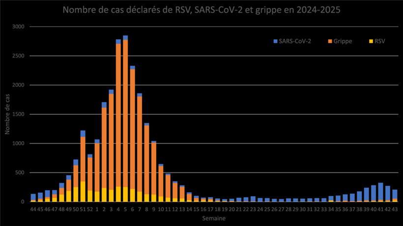 Santé meldet weniger Covid-Infektionen – Grippe- und RSV-Fälle steigen leicht an 