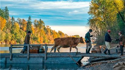 Zärtliche Männerfreundschaft im Wilden Westen: „First Cow“ von Kelly Reichardt