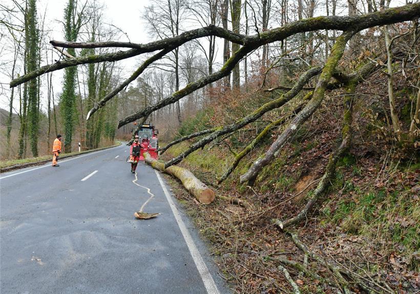 „Antonia“ sorgt für stürmische Nacht – Meteolux warnt am Montag vor weiteren Windböen 