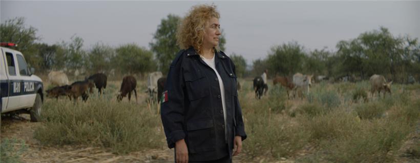 Die Wettbewerbsfilme: Bandengewalt, Befreiungskämpfe und Beziehungsdramen 