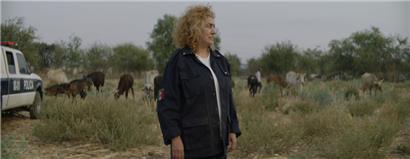 Die Wettbewerbsfilme: Bandengewalt, Befreiungskämpfe und Beziehungsdramen