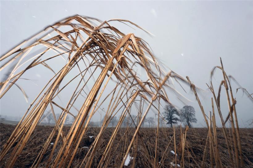 Meteolux warnt vor starken Windböen am Freitagabend und Glätte am Samstagmorgen 