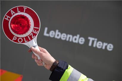 „Calvaire méconnu“