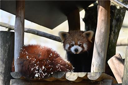 Der Märchenpark Bettemburg erwacht aus seinem Winterschlaf