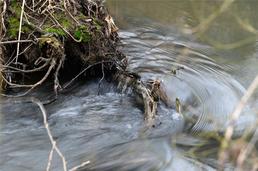 Wasser – das Gold der nächsten Jahrzehnte 