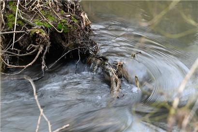 Wasser – das Gold der nächsten Jahrzehnte