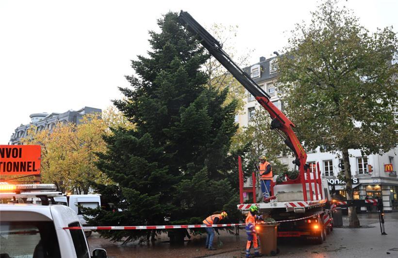 Die präzise Choreografie hinter dem schönsten Weihnachtsbaum für Luxemburg-Stadt 