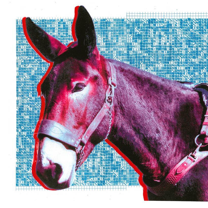 Trost in den Klängen: Das sind unsere Platten des Jahres 