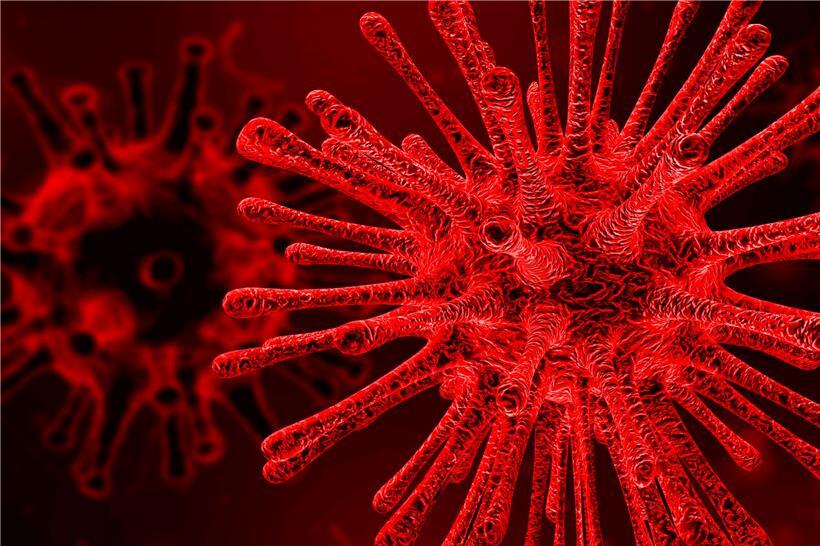 Rätselhafter „B.1.1.6.0“: Horrorvirus, made in Luxembourg 