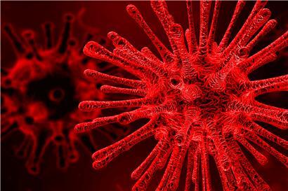 Rätselhafter „B.1.1.6.0“: Horrorvirus, made in Luxembourg