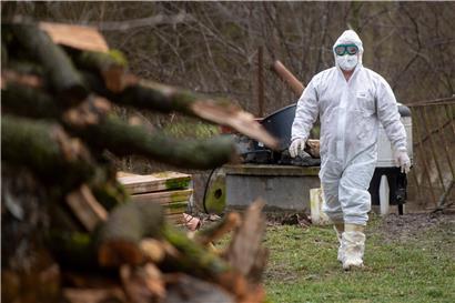Russland: Erste Fälle von Vogelgrippe-Virus H5N8 bei Menschen