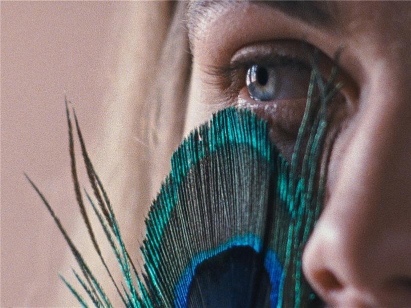 Dancing with Little Wolves 