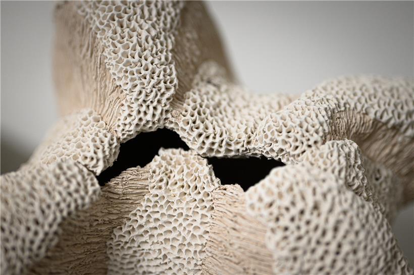 Ellen van der Woude, 1960, Steinsel 