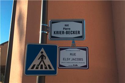 Zahlreiche Künstlerinnen im Fokus