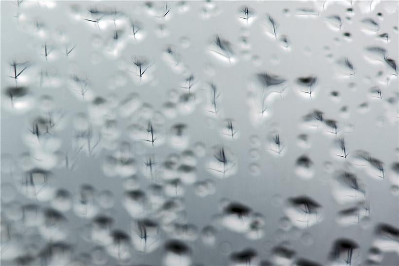 Wettermeldedienst Meteolux warnt vor starkem Wind am Samstag 