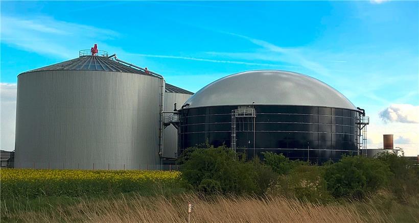 Totengräber von Natur und Gesundheit am Werk (Teil 2) 