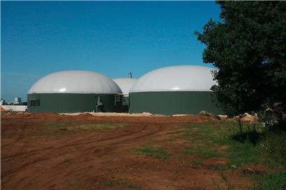 Biogas-Anlagen: Totengräber von Natur und Gesundheit am Werk (Teil 3)