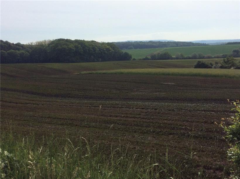 Biogas-Anlagen: Totengräber von Natur und Gesundheit am Werk (Teil 3) 