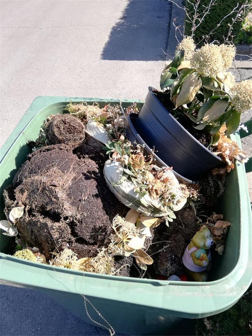 „Das ist einfach nur traurig“ – Geschädigte reagieren auf die Verunstaltung von 100 Gräbern in Oberkorn 