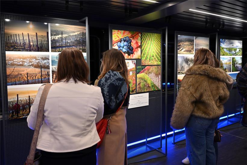 Schengen-Museum und Photo-Club Esch organisieren fotografische Hommage an die Mosel 