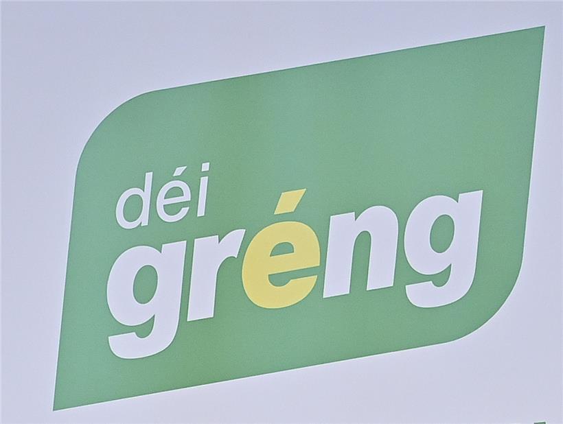 Durch die rosarote Brille der grünen Riege 