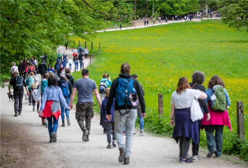 Gehen wir doch ein Stück … 