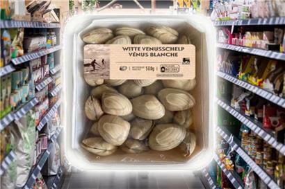Lipophile Toxine:  Supermarktkette Delhaize ruft in Luxemburg Venusmuscheln zurück