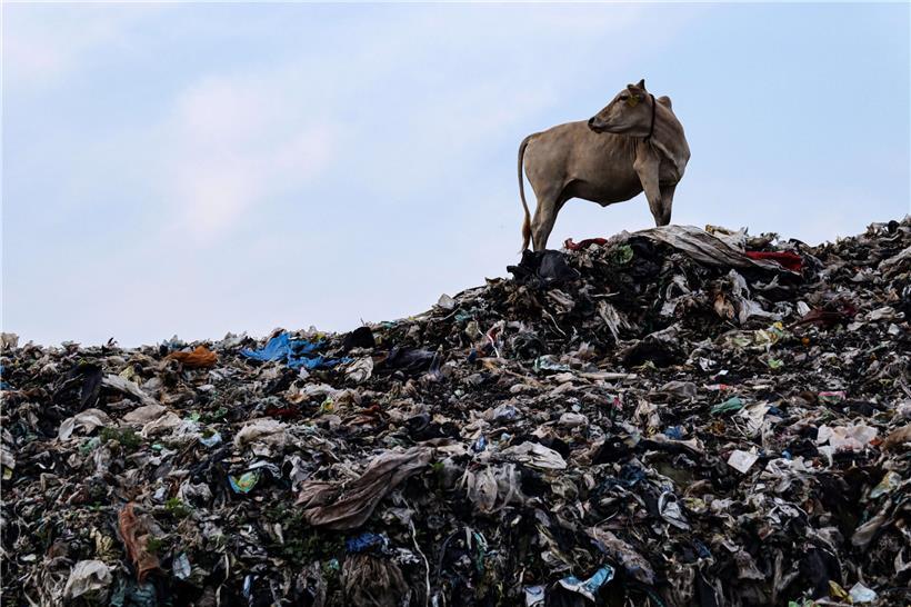 „Mouvement écologique“ erwägt rechtliche Schritte gegen Luxemburgs Klimaschutzgesetz 