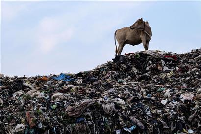 „Mouvement écologique“ erwägt rechtliche Schritte gegen Luxemburgs Klimaschutzgesetz