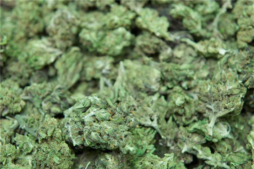 Polizei beschlagnahmt 24 Gramm Cannabis 