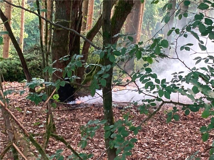 Granate aus dem Zweiten  Weltkrieg setzt Arbeitsmaschine in Wald in Brand 