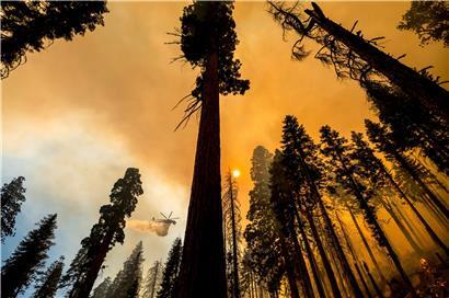 Was der Klimawandel der Wirtschaft abverlangt