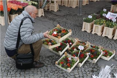 Würfel sind gefallen: Stadtmarkt zieht auf den Hamilius um