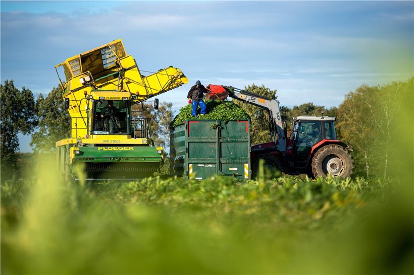 GAP-Reform und Eco-Schemes: Die EU-Agrarpolitik ist klassisches Terrain permanenter Debatten 